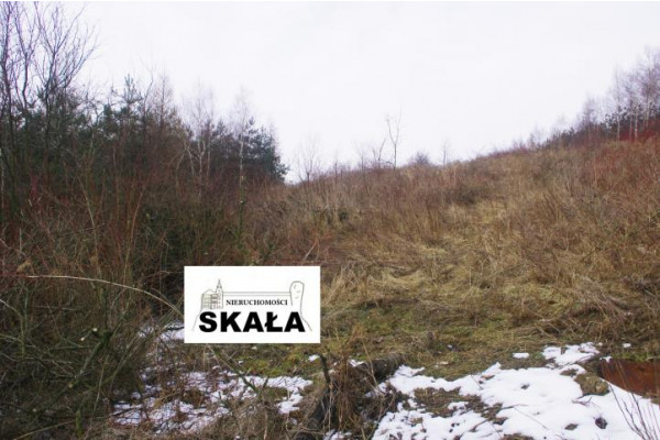krakowski, Skała, Nowa Wieś, Nowa Wieś, gmina Skała