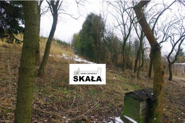 krakowski, Skała, Nowa Wieś, Nowa Wieś, gmina Skała