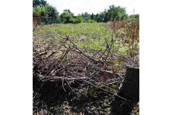 krakowski, Skała, Skała/centrum, Działka na sprzedaż